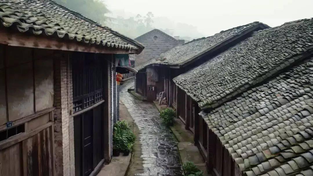 小汪汪